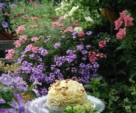 Faerie Garden Tea Time