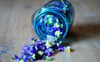 Petals
