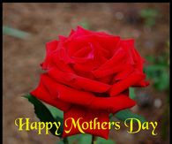 Happy Mothers Day
