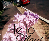 Hello May