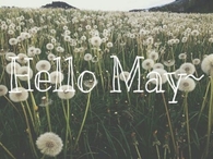 Hello May