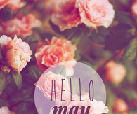 Hello May