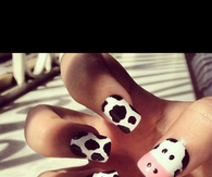Cow nails