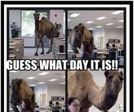 Guess what day it is