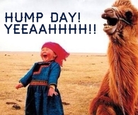 Hump Day Yeah