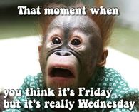 Its only Wednesday