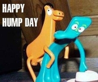 Happy Hump Day