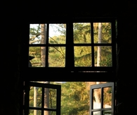 Window on Nature