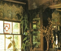 Rustic Nature