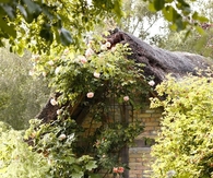 Forest Witch Cottage