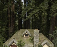 The Perfect Little Forest Cottage