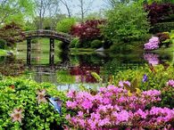 Spring at the Lake GIF