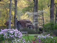 My Future Home