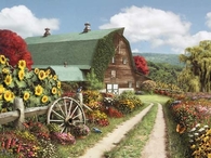 Summer on the Farm