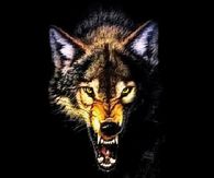 Angry Wolf