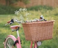 Vintage Pink Bike