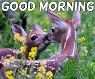 Good Morning Kisses