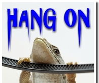 hang on its almost Friday