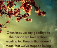Goodbye