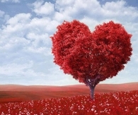 Heart Tree