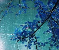 Beautiful Rain
