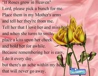 if roses grew in Heaven