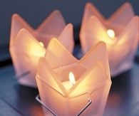 Take Out Box Design Votives