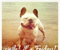 Smile its Friday