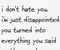 I dont hate you