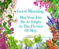 Good Morning