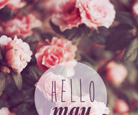 Hello May