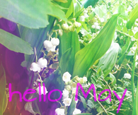 Hello May