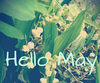 Hello May