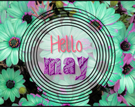 Hello May