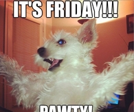 Its friday, pawty!