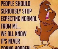 people should stop expecting normal from me