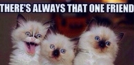 Theres Always That One Friend