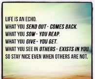 Life is an echo