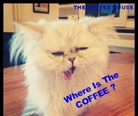 Where is the coffee