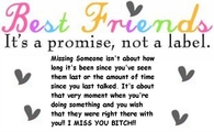 Best Friends It's a promise not a lable