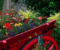 Garden Wagon Planter