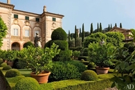 Beautiful English Garden