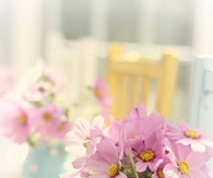 Pink Daisies in Cute Polka Dot Pitcher
