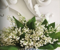 Lily of the Valley in Bleu & White Vase