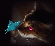 Cat & Butterfly
