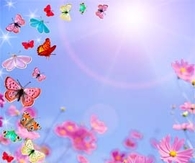 Summer Day