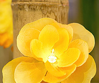 Flower party lights