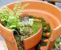 Mini Garden
