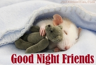 good night friends