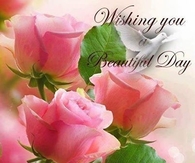 Wishing you a beautiful day
